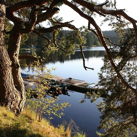 Ferienhaus Juster Im Wald Gutenbrunn Kültér fotó